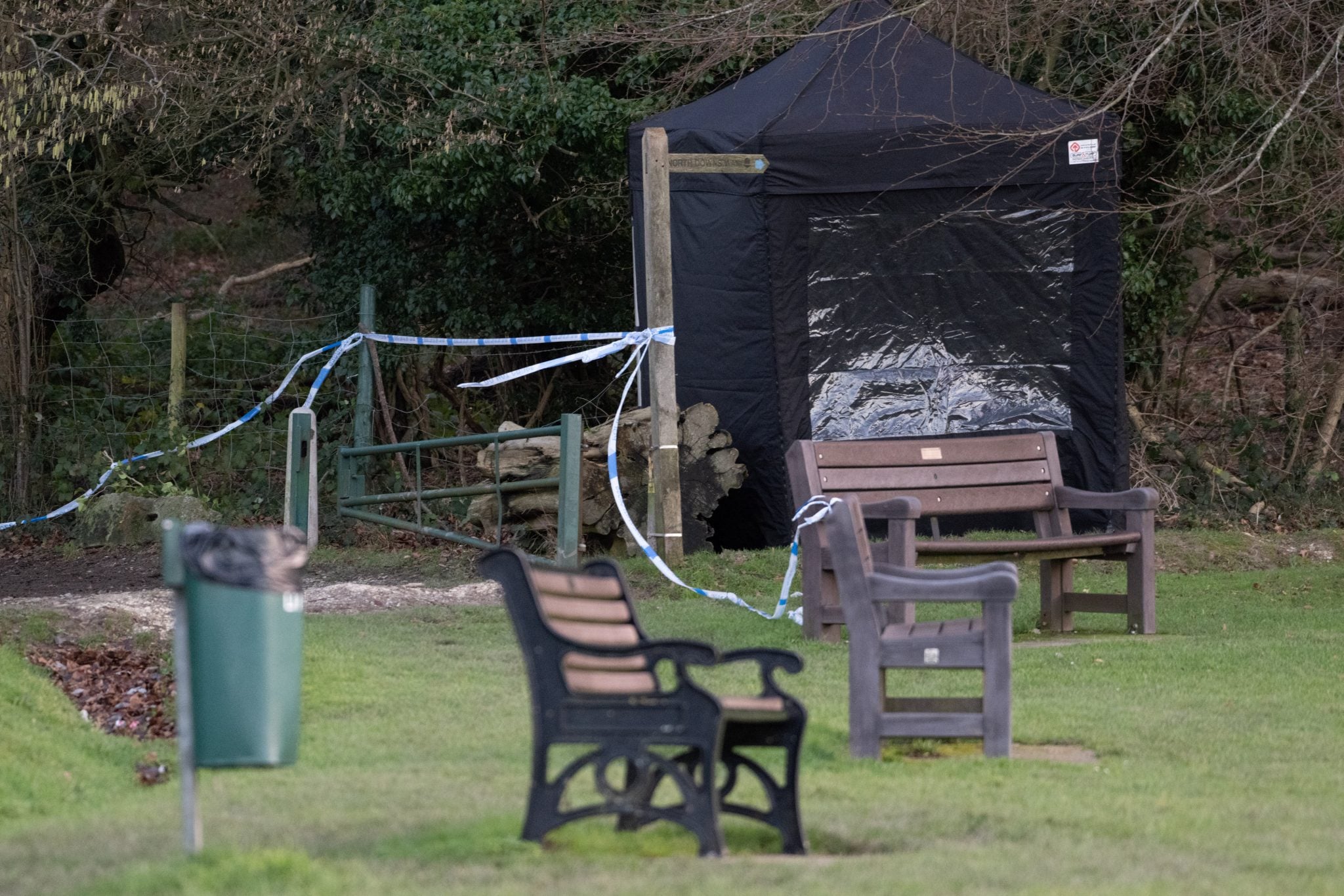 Dog walker killed in Surrey attack died from ‘multiple penetrating ...